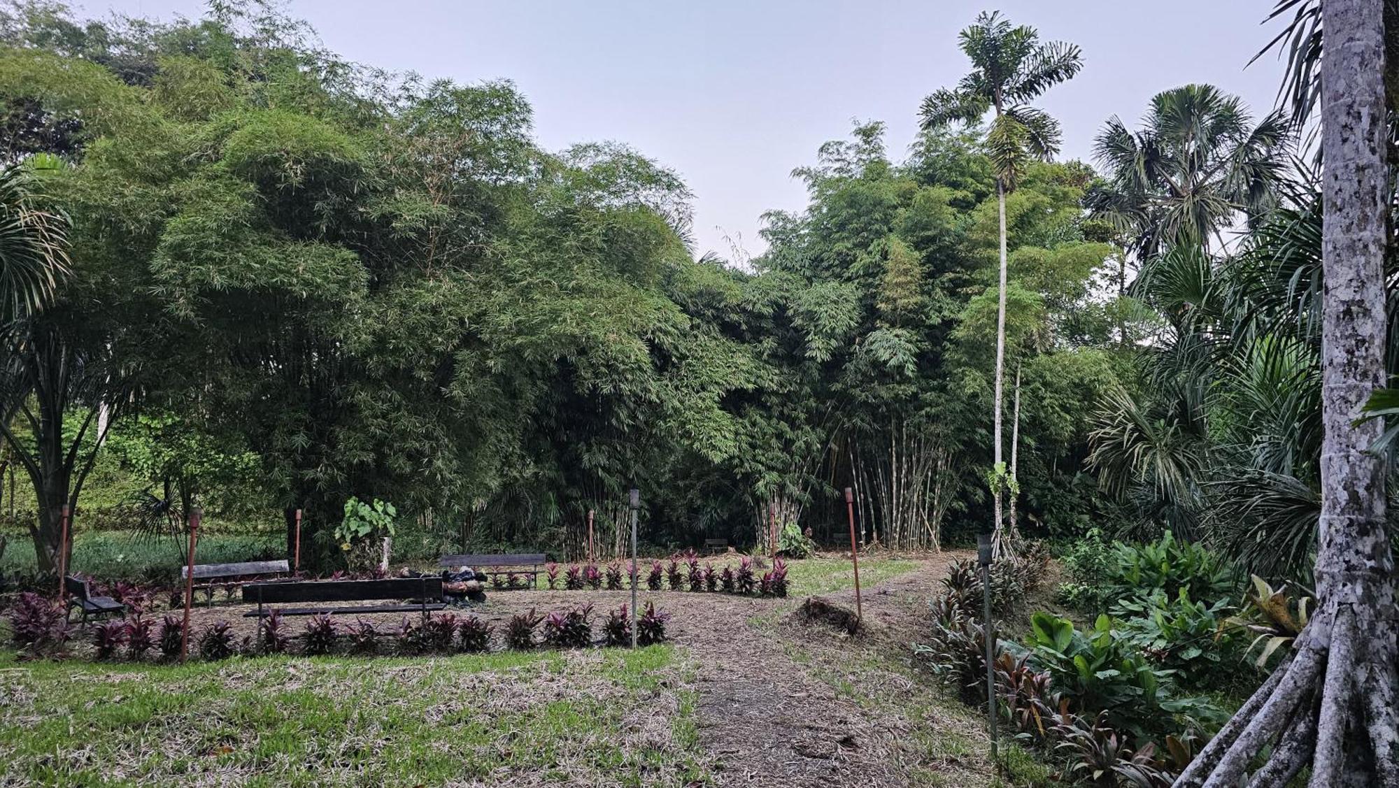 Hosteria Finca El Pigual Puyo Eksteriør bilde
