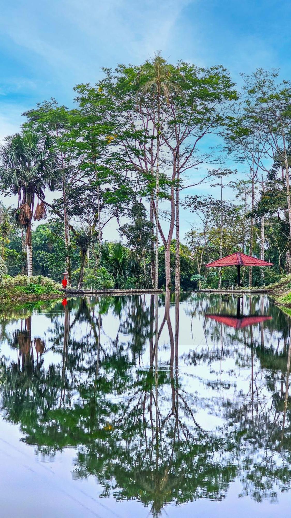 Hosteria Finca El Pigual Puyo Eksteriør bilde