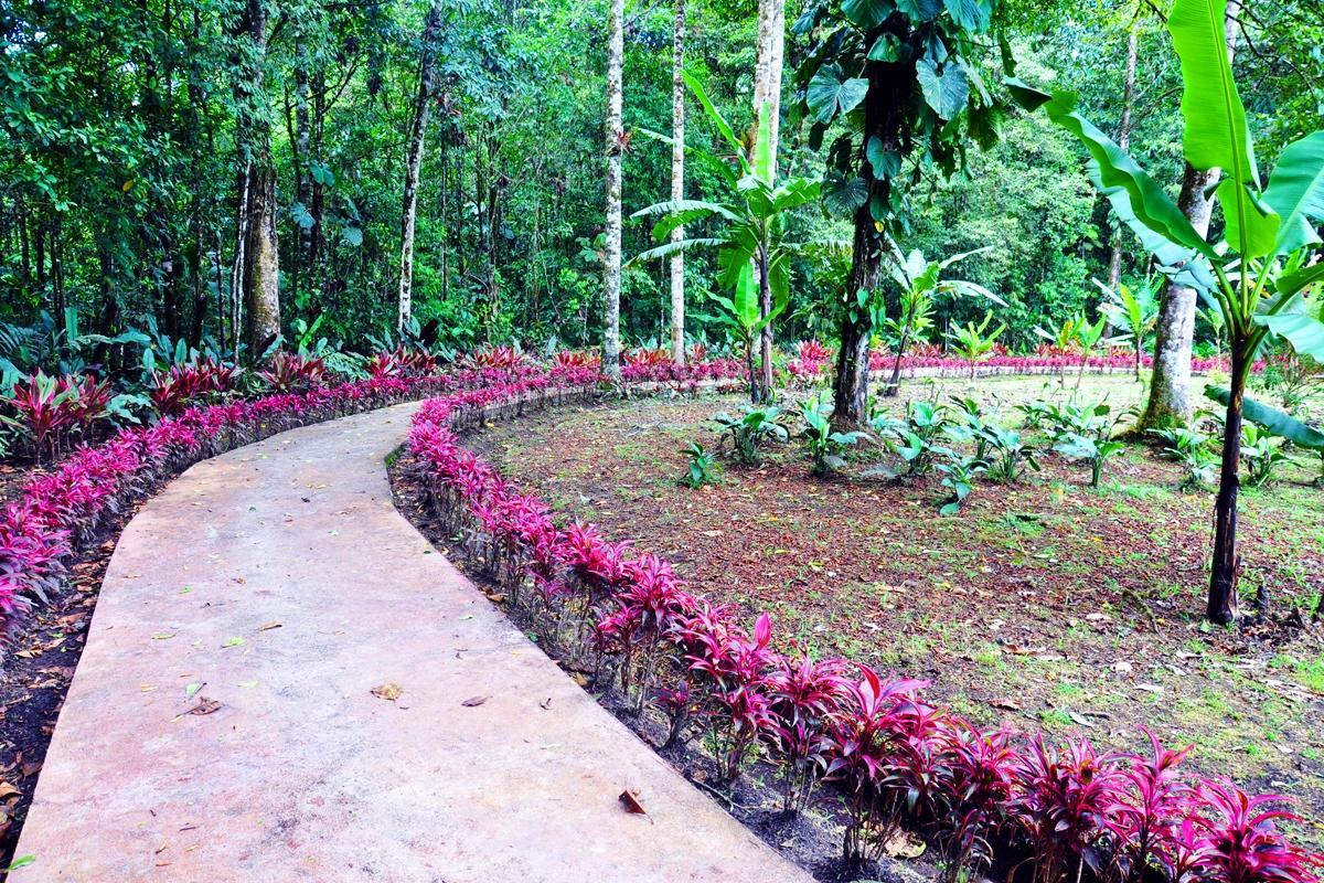 Hosteria Finca El Pigual Puyo Eksteriør bilde